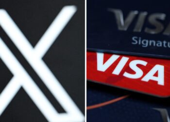 Elon Musk’s X Partners Visa on  Financial Services