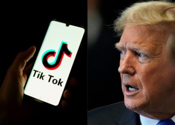 Supreme Court Delays TikTok ban on Trump’s Request