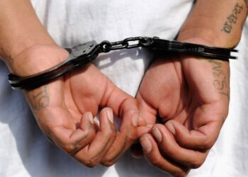 Tech Advances Help Analysts Solve More Cases
