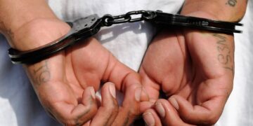 Tech Advances Help Analysts Solve More Cases