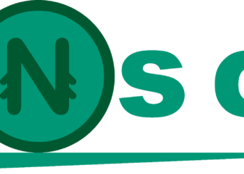 Prosperavest ESG LTD Launches ‘eNsc,’ a Naira-Pegged Stablecoin on 2.0 Blockchain