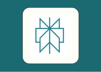 Perplexity’s Desire To Purchase & Open-Source Tiktok’s Algorithm