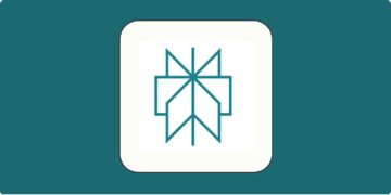Perplexity’s Desire To Purchase & Open-Source Tiktok’s Algorithm