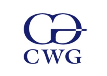 How CWG, Nigerian Tech Firm, Boosted Earnings by 290% in 2024