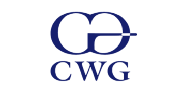 How CWG, Nigerian Tech Firm, Boosted Earnings by 290% in 2024