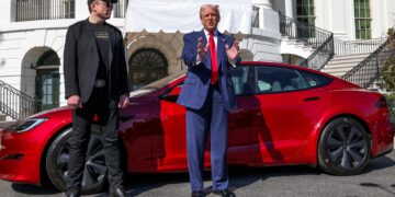 Tesla Sales Plunge as Musk Plans to Step Down DOGE Role