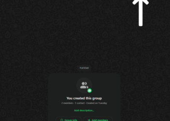 WhatsApp Web to Support Calls Soon