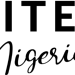 GITEX Nigeria Puts AI Ambition On Trial 68394f8b1ea61-logo-fitexpng