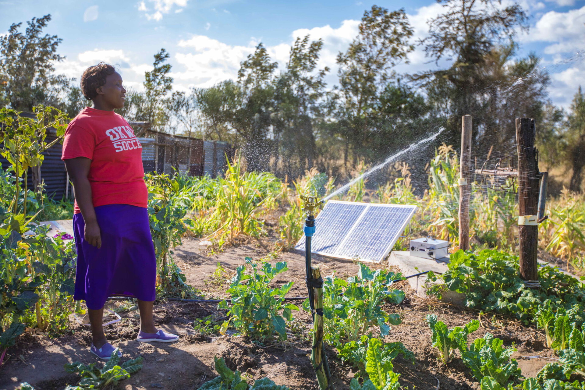 Uganda’s Sandi AI Lets Farmers Pool Savings For Solar Irrigation