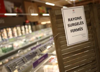 Hackers Defrost French Supermarket Fridges, Spoiling Food