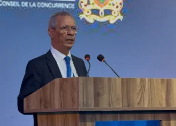 Morocco Names AI Minister as It Pushes Digital Strategy