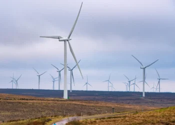 Opinion: Scotland Has Wind Power. AI Data Centres Still Need a Grid