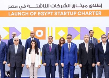 Egypt Details Startup Plan as It Seeks to Turn Charter Into Funding